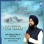 Dukh Bhanjan Tera Naam Album Download