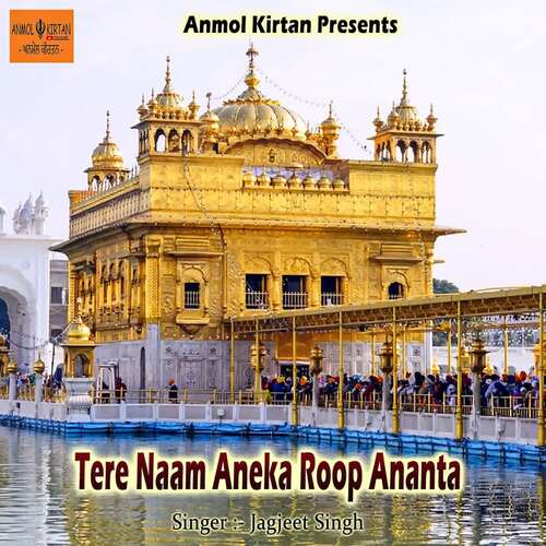 Tere Naam Aneka Roop Ananta Jagjit Singh MP3 Download