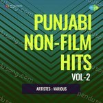 Punjabi Non - Film Hits Vol - 2 - Narinder Biba Song Download