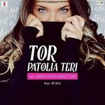 Tor Patolia Teri Album Download
