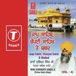 Bhai Surinder Singh Ji-Patna Saheb Wale Songs MP3 Download