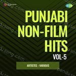 Punjabi Non - Film Hits Vol - 5 - Karamjit Singh Dhuri Song Download
