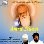 Amrit Naam Album Download