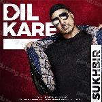 Dil Kare Album Download