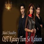 Adeel Chaudhary Songs MP3 Download