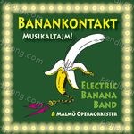 Electric Banana Band Songs MP3 Download