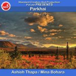 Ashish Thapa