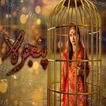 Noraan Laal Songs MP3 Download