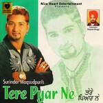Tere Pyar Ne Album Download