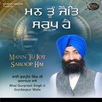 Mann Tu Jot Saroop Hai Album Download