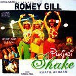 Punjabi Shake (Kaatil Akhaan) Album Download