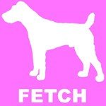 Boy George Songs MP3 Download