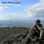 Robert Wilson Songs MP3 Download