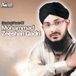 Mohammad Zeeshan Qadri Songs MP3 Download