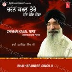Charan Kamal Tere Dhoye Dhoye Pivaa Album Download