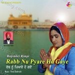 Rabb Nu Pyare Ho Gaye Album Download