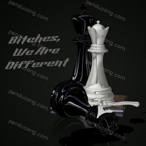 Bitches, We Are Different 4tee7ven MP3 Download