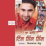 Aa Kariye Ting Ling Album Download