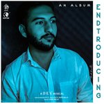 Endtroducing Album Download