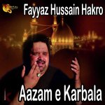 Faiyaz Hussain