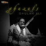 Mohsin Raza Songs MP3 Download