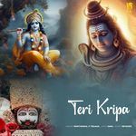 Teri Kripa Album Download