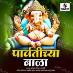 Top 13 Parvatichya Bala Album Download
