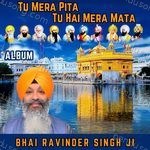 Tu Mera Pita Tu Hai Mera Mata Album Download
