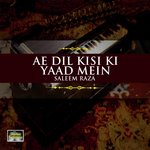 Saleem Raza Songs MP3 Download