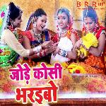 Annu Dubey Songs MP3 Download