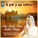 Mai Sukhi Hoon Sukh Paya Album Download
