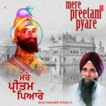 Mere Preetam Pyare - Bhai Raghbir Singh (U.S.A. Wale) Song Download