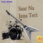 Saar Na Jane Teri - Bhai Avtaar Singh Rasia Song Download
