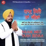 NAAM MILE TAAN JEEVAA Album Download
