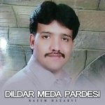 Dildar Meda Pardesi Album Download