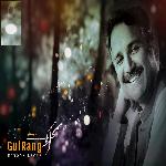 Haroon Bacha Songs MP3 Download