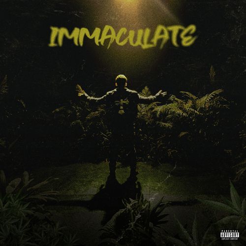 Immaculate Avy MP3 Download