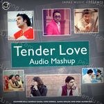 Tender Love Audio Mashup - Sangram Hanjra Song Download