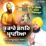 Tu Kahe Dole Praniya - Harman Song Download