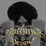 Nothing to Prove Album Download
