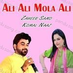 Ali Ali Mola Ali Album Download