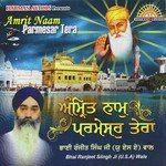 Amrit Naam Parmesar Tera Album Download