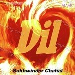 Dil Album Download