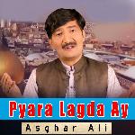 Pyara Lagda Ay Album Download