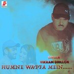 Vikram Dhillon