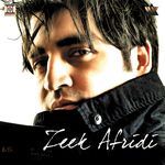 Bibi Shireen Album Download