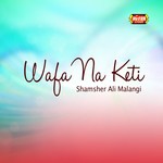 Shamsher Ali Malangi