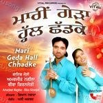 Mari Geda Hall Chhadke - Amarjeet Nagina Song Download