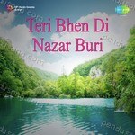 Teri Bhen Di Nazar Buri Album Download