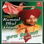 Rumaal Bhul Gayee Album Download